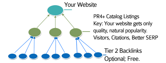 Optional Tier 2 Links