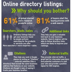 40 Approved Web Directory Listings + 100 Search Engines Inclusion