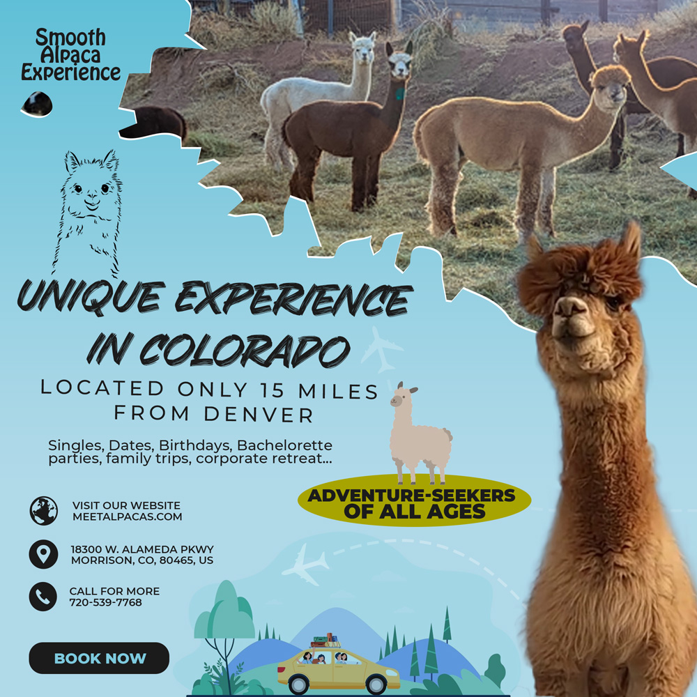 alpaca adventure tours in Denver, Colorado